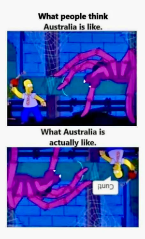 aus.png