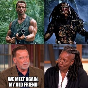meet.jpeg