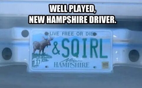 moose.jpg