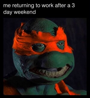 turt.jpeg