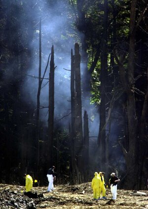 1140x1600-9-11-pa-planecrash-site.jpg