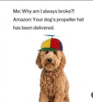 broke.jpeg