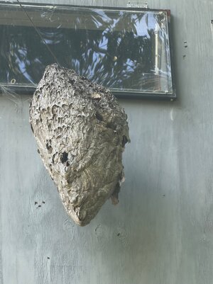 IMG_0188.jpeg