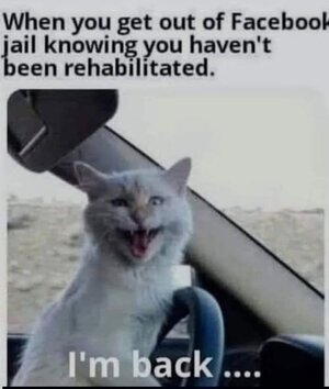 back.jpeg