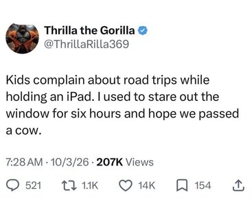 cow.jpg