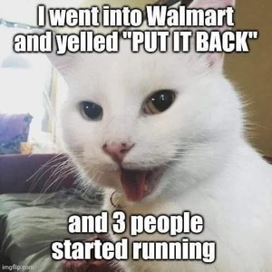 went.png