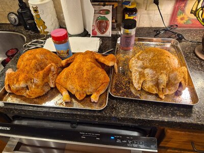 chickens seasoned.jpg