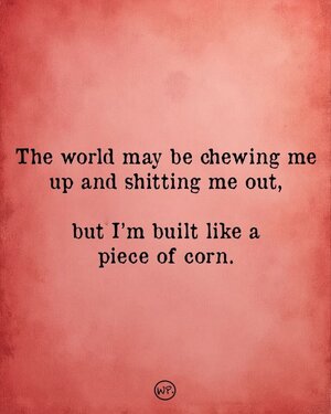 corn.jpeg