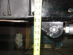 bellyheight.jpg