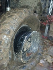 Harlan Fall 2012 - flat on Your Turn - close up.jpg
