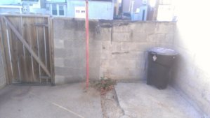 IMAG0370.jpg