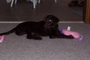 100_2586.jpg 100_2586.jpg