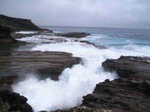 hawaii 2 101.jpg