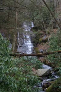 IMG_1142.jpg
