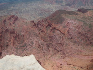 IMG_0243.JPG