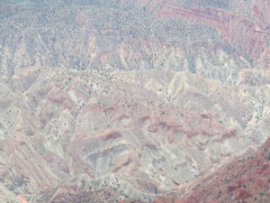 IMG_0251.JPG