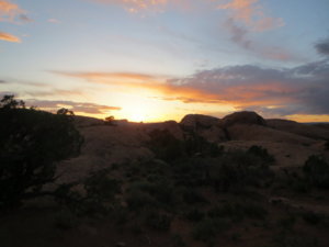 IMG_0347.JPG