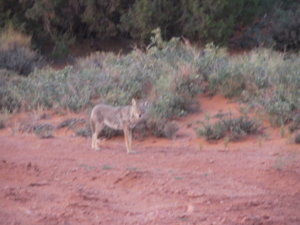 IMG_0348.JPG