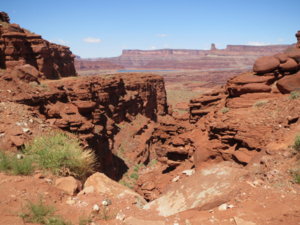 IMG_0359.JPG