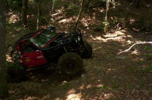 trucks n such 507.jpg