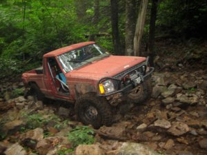 IMG_2895 (Medium).JPG