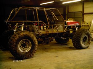 new buggy 040.jpg