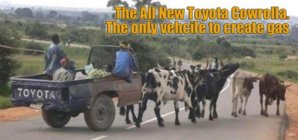 Cowrolla.jpg