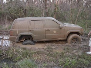 stuck in mud.jpg