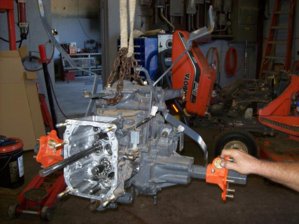 100_0351.jpg 100_0351.jpg